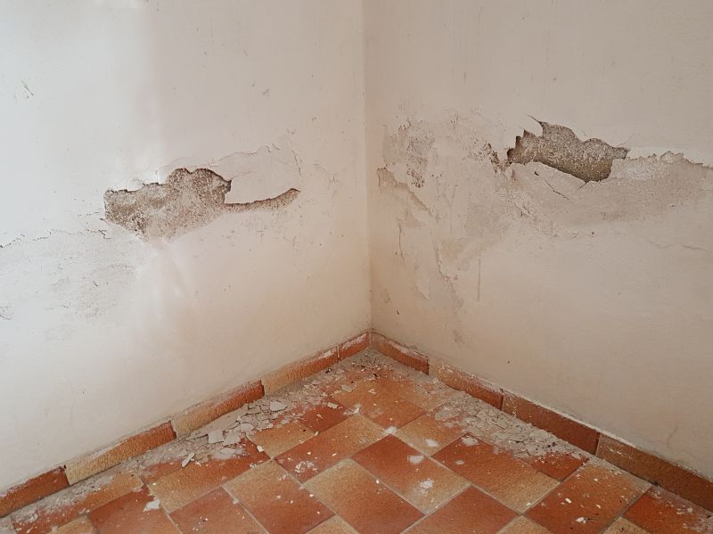 Interior Wall Damage